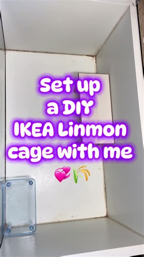Configura tu Jaula DIY IKEA para Hámster