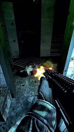 stop its already dead