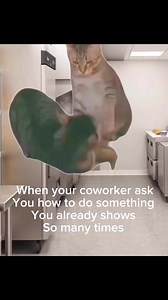 Funny Work Memes on Reels