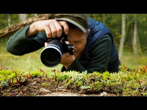 Turn Your Telephoto Lens into a Macro Lens | NISI Close up Filter | OM-1, 40-150mm f/2.8