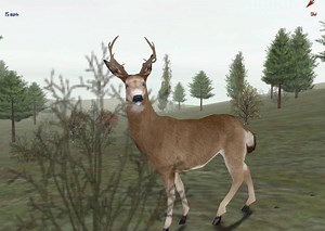 2005 Activation Code Deer Hunter: Software Free Download