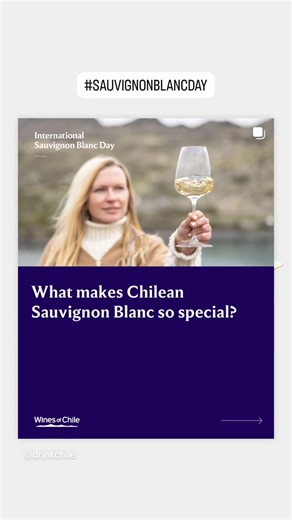 Wines of Chile on Reels