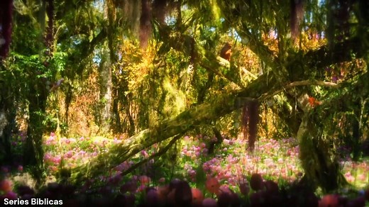 Genesis capitulo 1 En el principio creó Dios los cielos y la tierra. Y la tierra estaba desordenada y vacía, y las tinieblas estaban sobre la faz del abismo, y el Espíritu de Dios se movía sobre la faz de las aguas. Y dijo Dios: Sea la luz; y fue la luz. Y vio Dios que la luz era buena; y separó Dios la luz de las tinieblas. Y llamó Dios a la luz Día, y a las tinieblas llamó Noche. Y fue la tarde y la mañana un día. Luego dijo Dios: Haya expansión en medio de las aguas, y separe las aguas de las