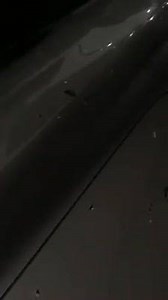 9.7K views · 16 reactions | Hundreds of birds gravitate to 31st and...