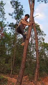 Forest Climbing Safety Tips #TreeTools #ClimbSmart #OutdoorEfficiency | Mundo Videos