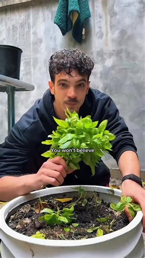 49K views · 194 reactions | Want aromatics for the winter? Here’s a...