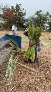 1.3M views · 40K reactions | Korai Sleeping Mat Making Process | Namaste India | Facebook