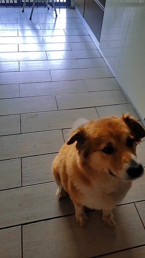 Nerisha Surujbally on TikTok