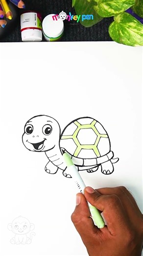 How to Draw a Turtle Step by Step