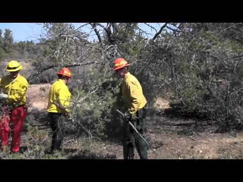 S-212 Wildland Fire ChainSaw Class