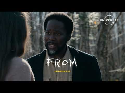 HIGHLIGHT MAYO / UNIVERSAL+