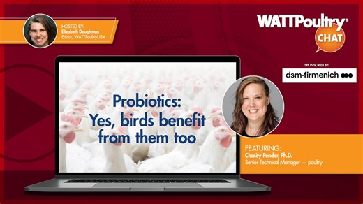Probiotics: Yes, birds benefit from them too
