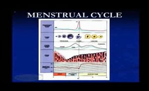 Maternal-Newborn Review