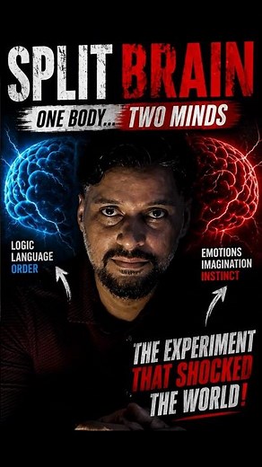 Scientists Found Two Minds In One Body #psychology #science #brain #splitbrain