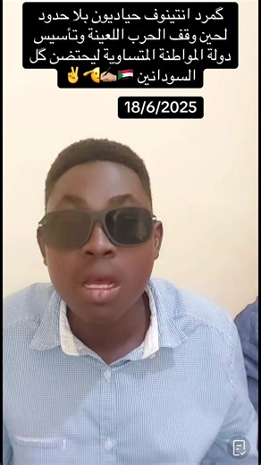 Peace Initiatives in Darfur: Building a Just Society