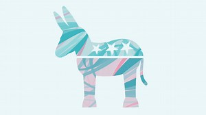 Why The Progressive Left Fits So Uncomfortably Within The Democratic Party