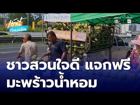 Kind-hearted farmer gives away fragrant coconuts for free | This Morning at Morchit.