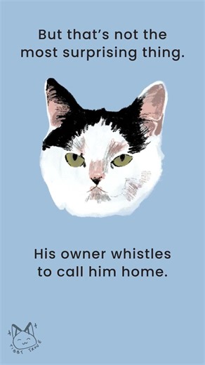 The Politician Who Whistles to His Cat | Famous People’s Cats