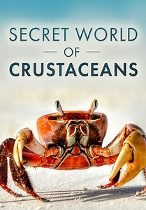 Secret World of Crustaceans (2018)