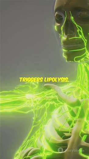 The Anatomy of Fat Loss: Scientific Breakthrough