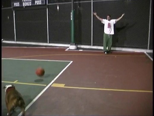 #ClassicMeatballs | Adam Sandler