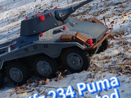 SdKfz234 Puma 3D printed 1:10 RC model
