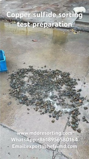 Copper sulfide sorting experiment preparation #oresorting #mineralsorting #sortingmachine
