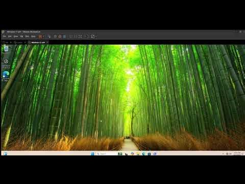 Qualys Scan Cybresecurity Lab