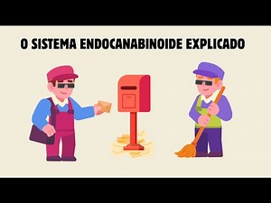 O SISTEMA ENDOCANABINOIDE EXPLICADO