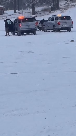 People of Brighton on Instagram: "Live from the Brighton parking lot pt. 5"
