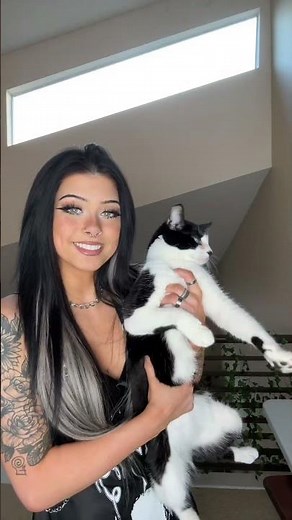 👁️👄➖ (first vid is Bella Rose ) #cat #catsoftiktok #oneeyedcat #tuxedocat #catowner