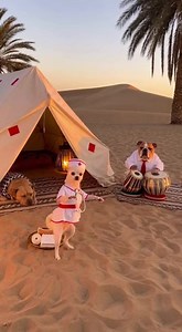 AMERICAN NURSE 1950s PIN-UP ICON 💉👩‍⚕️🇺🇸 VINTAGE COSTUME VIBES #PinUpStyle #NurseCostume #RetroGlam #shortsreels | Fluffy Moments