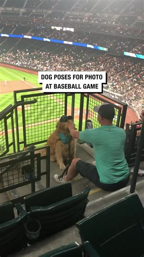 That's the goodest boy I've ever seen 😭 | good boys