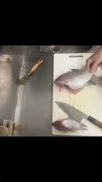 包丁2本で捌くと・・・ #包丁切り方 #魚捌き方 #魚料理 #釣り #鯛をさばく #fish