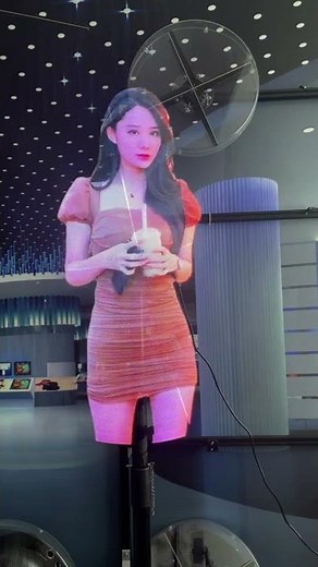 Advertising 3D Hologram Fan Holographic Projector 3D Holographic Display