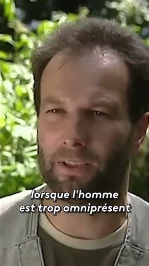 #science #jamy #experience