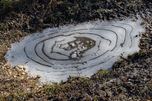 Hunt for frozen puddle art hiding in your neighborhood