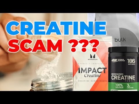 Creatine: Muscle, Brain, or Scam?