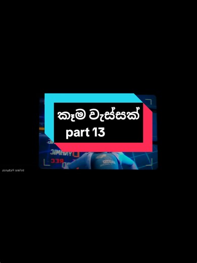 කෑම වැස්සක්: Part 13 - ශ්‍රී ලංකාවේ අත්දැකීම්