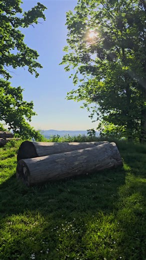 Embracing Nearby Beauty
