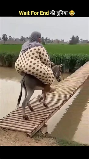 Janwaron ke gajab Karname 😂 wait for twist 😂 part-22 #shorts #funny #animals