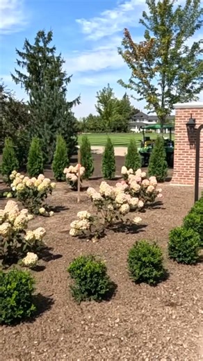 Follow along as Garden Answer refreshes her front beds with stunning Fire Light Hydrangeas and crisp New Gen Boxwoods. 🌸She’s giving them a strong start with Espoma Organic Bio-tone Starter Plus to support root development and long-term plant health—so these new additions thrive well beyond the season. Watch the full video: https://heyor.ca/1LeqU9 | Espoma Organic