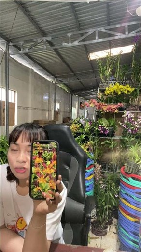 (Check Out the Blooms) Hotline: 090.317.7978 ☎️☎️