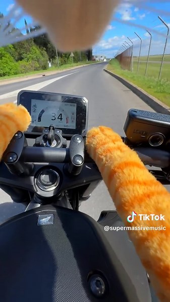 Cat on a Date: Honda Hornet 750 Adventure!