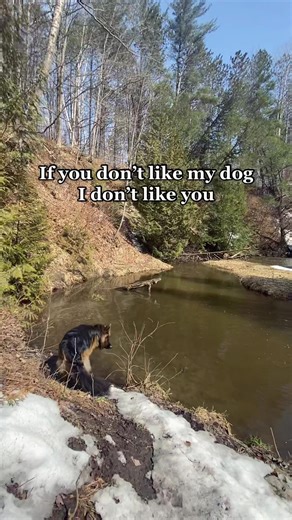 But I mean, what’s not to like?