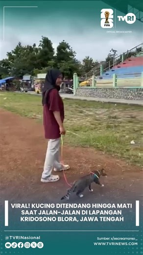 TVRI Nasional on Instagram: "Viral di Blora, Jawa Tengah—seekor kucing bernama Mintel dilaporkan tewas setelah ditendang oleh seorang pria saat berjalan di area Lapangan Kridosono. Menurut keterangan pemilik, tindakan tersebut dilakukan tanpa alasan jelas. Ketika dimintai penjelasan, pelaku justru bersikap agresif dan menantang untuk membawa kasus ini ke ranah hukum. Peristiwa ini kembali menyoroti pentingnya kesadaran dan tanggung jawab bersama dalam menjaga keamanan serta kesejahteraan hewan d