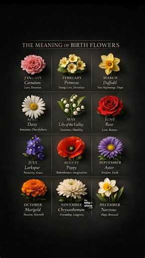 Born in this month ? Here’s your flower meaning. 🎂 | Little DIY