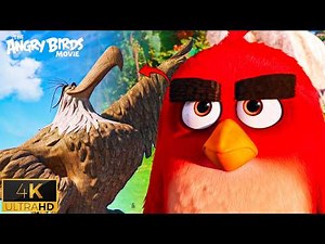 Red, Chuck & Bomb Meet Mighty Eagle Scene – Angry Birds Movie