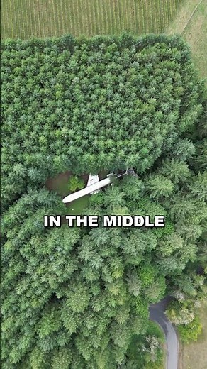 Living in a Plane! Tour of the Boeing 727 Plane Home in Oregon