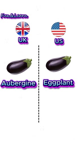 British vs American English #english #funny #gringa #learnenglish